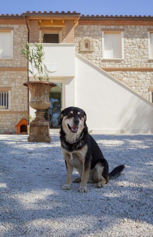 سيرولو Borgoparvo Countryvilla المظهر الخارجي الصورة